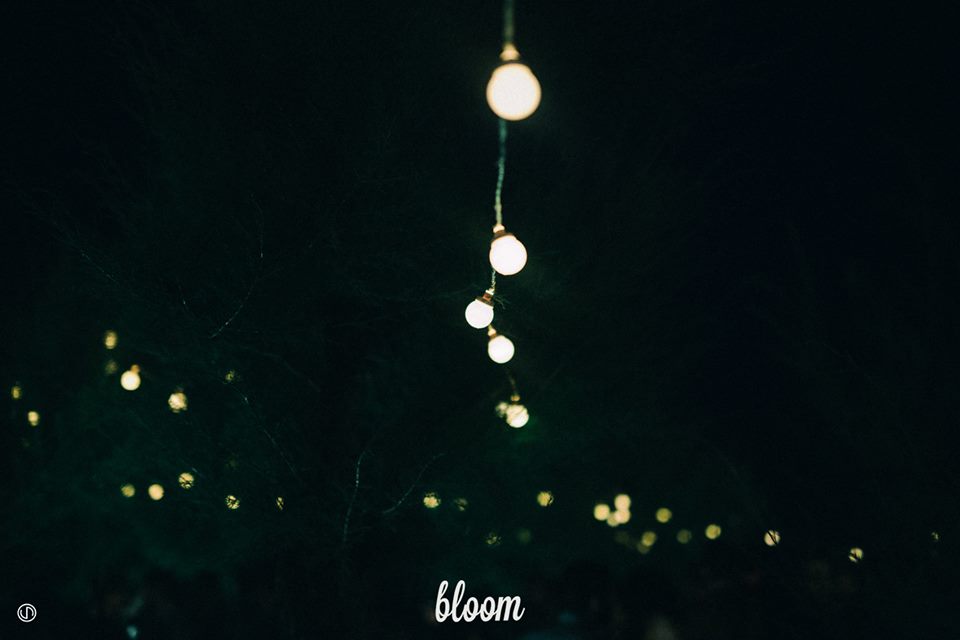 2013 年完成的 Bloom 海滩酒吧 | 木质结构与海洋风情的完美融合-2