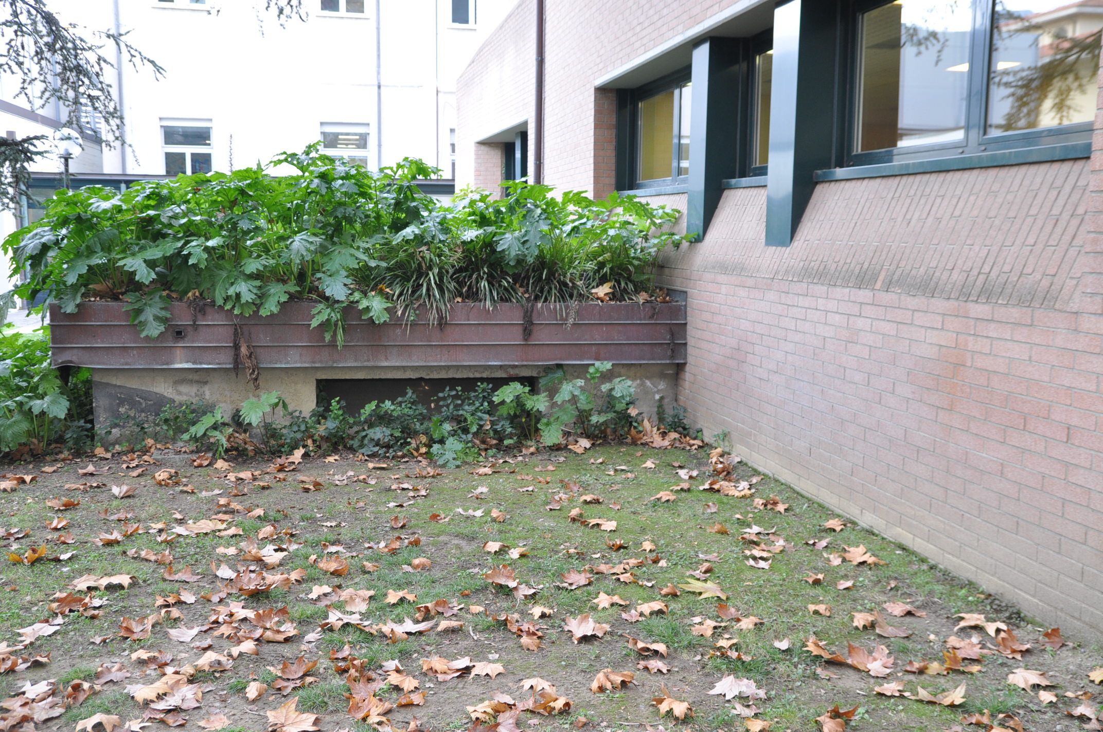 1999 年完成的圣奥尔索拉血液病研究所-9