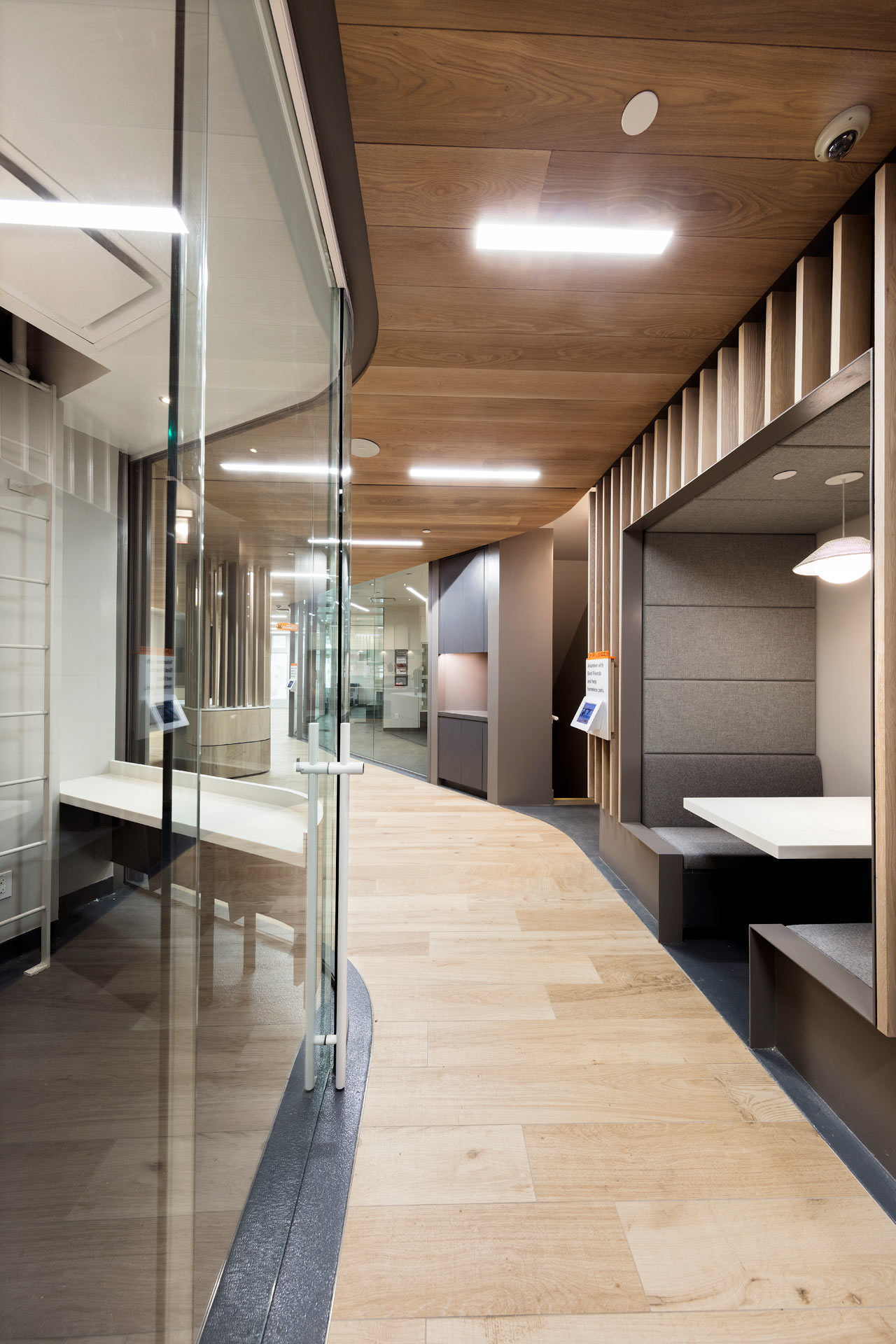 爱心港湾 | 最佳朋友动物协会新收养中心-16