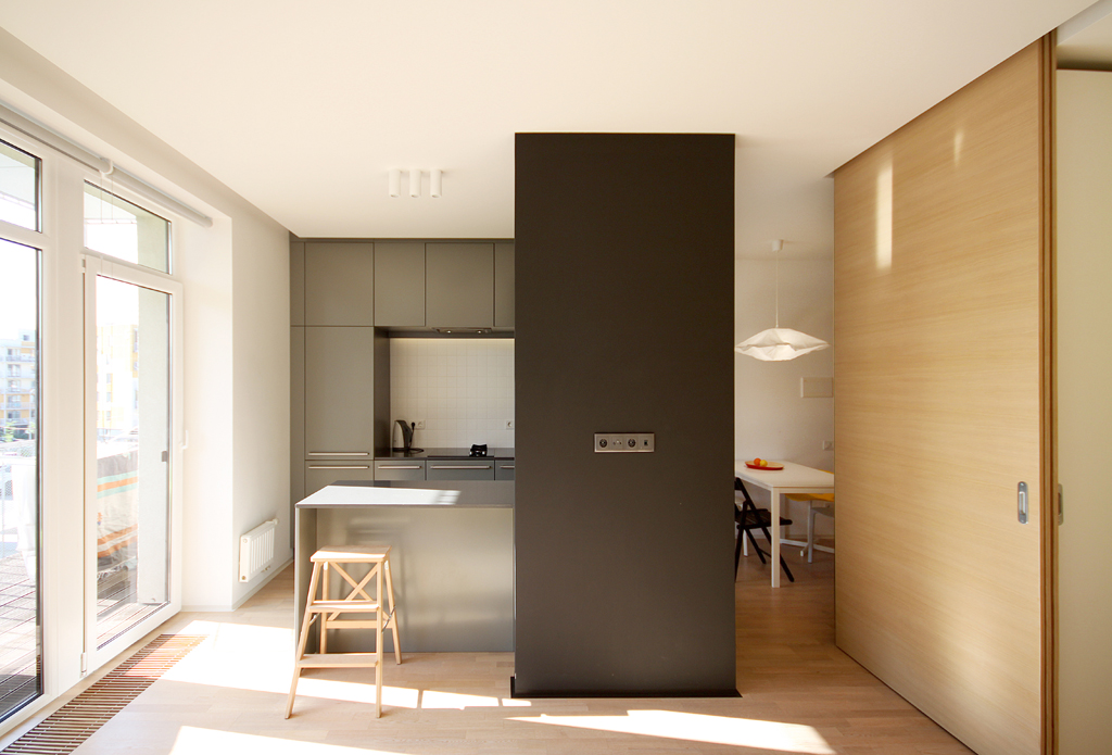 乌克兰基辅 44 平米精致小户型设计-1