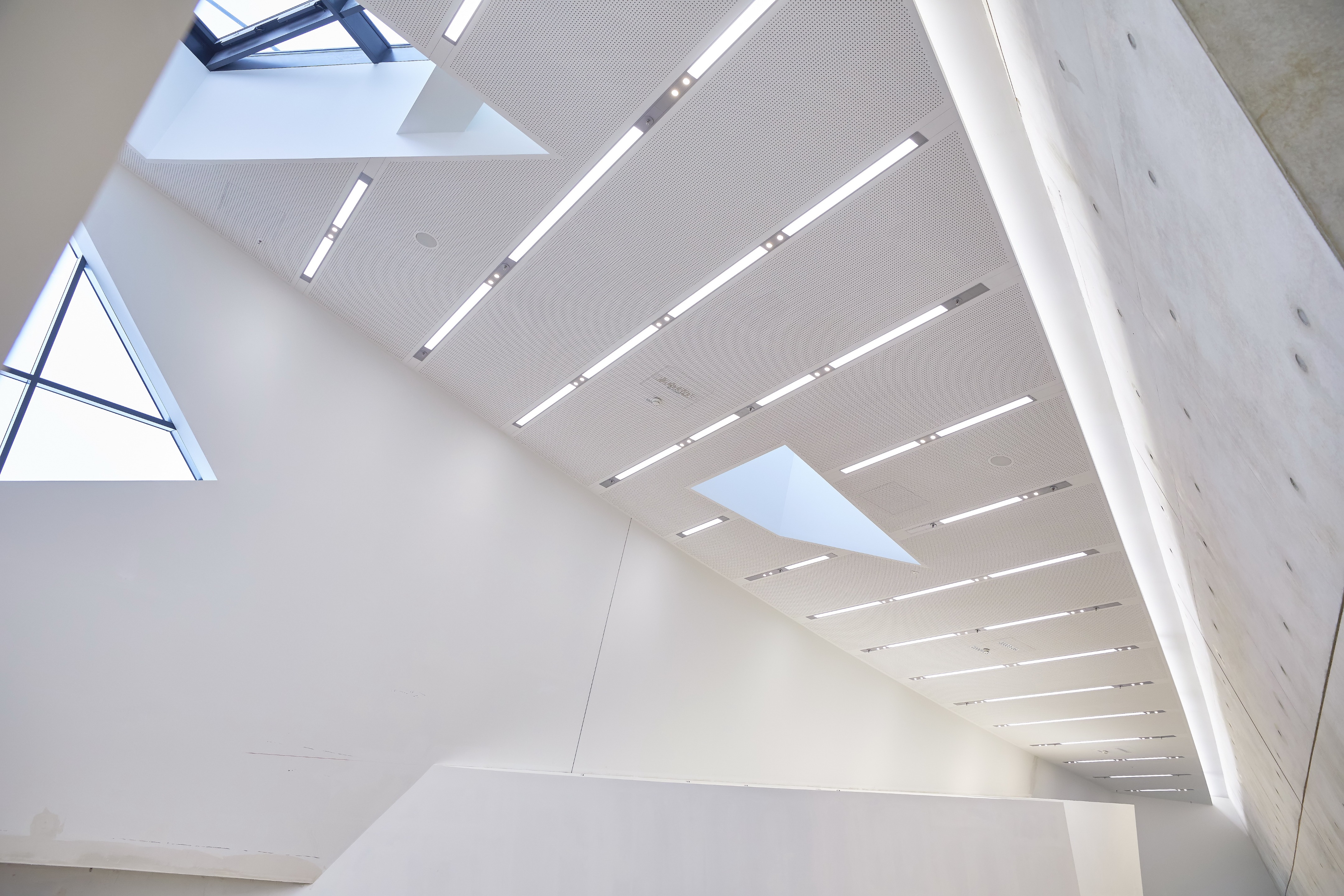 Durham 大学新 Ogden 中心 | 螺旋形木质立面与可持续设计的完美结合-9