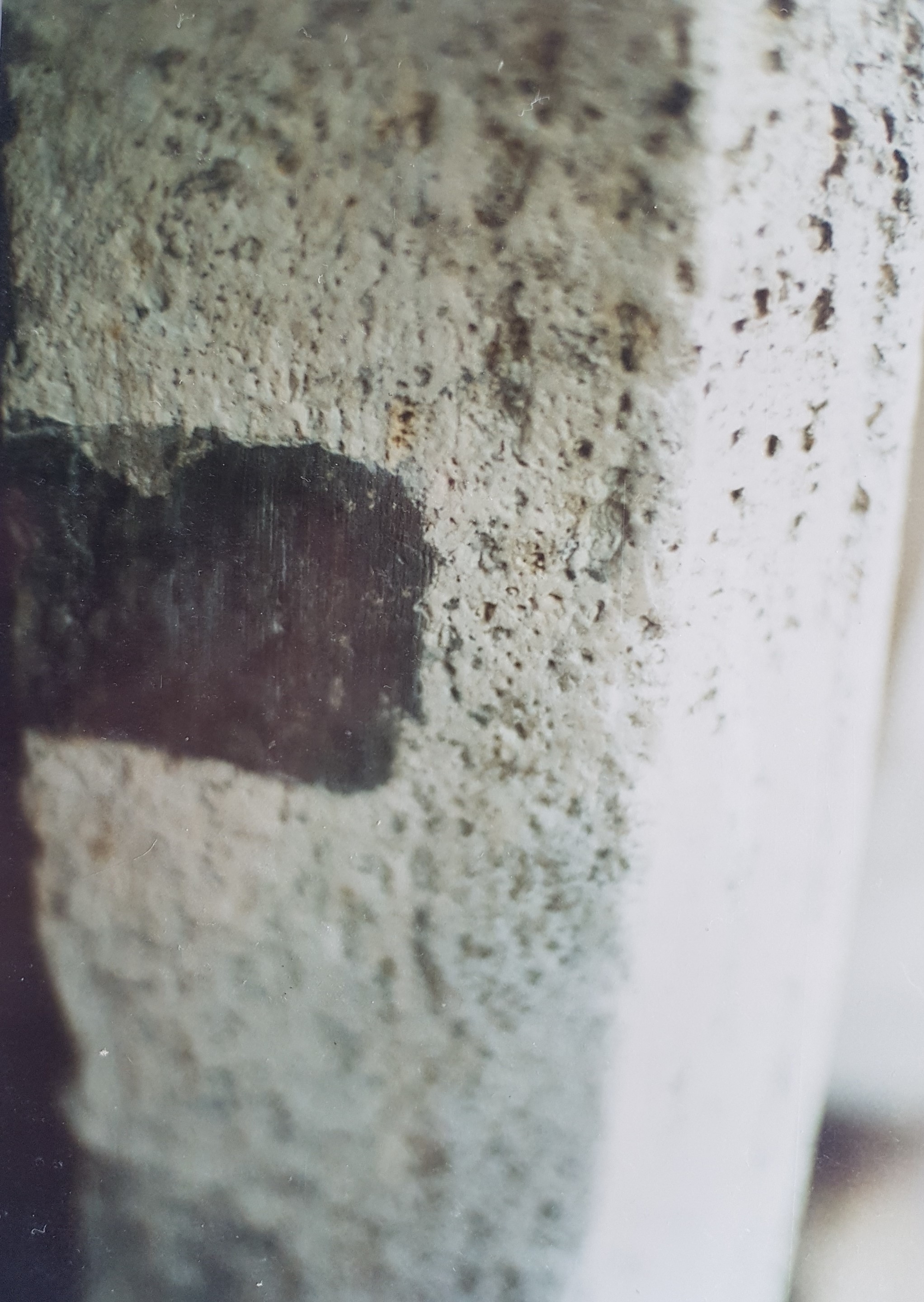 古建修复中的现代创新——罗马 Via Giulia 105 号建筑修复项目-23