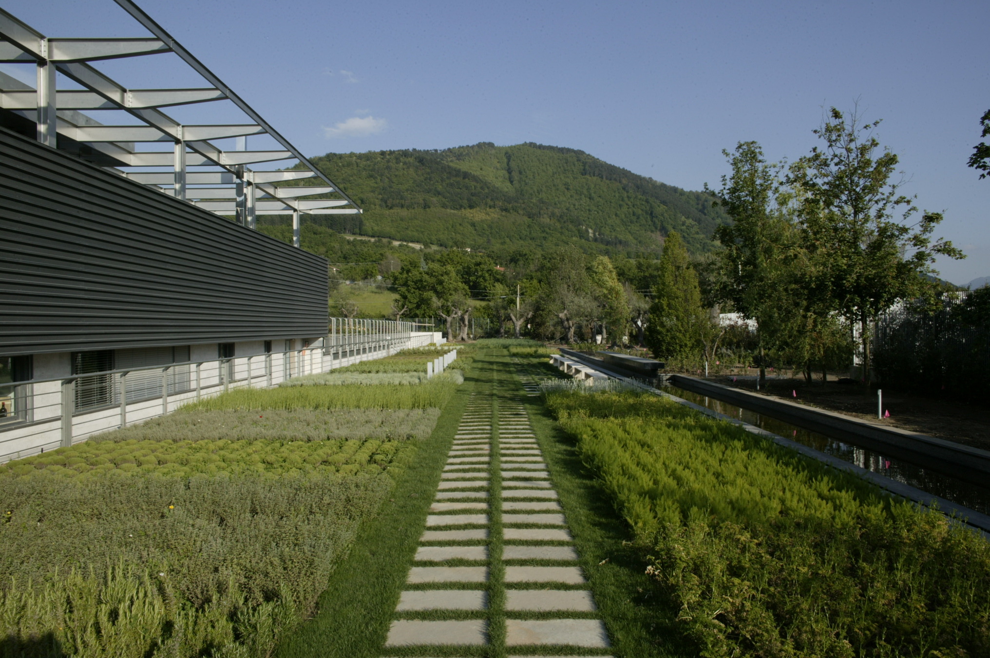 Feudi di San Gregorio 酒庄-2