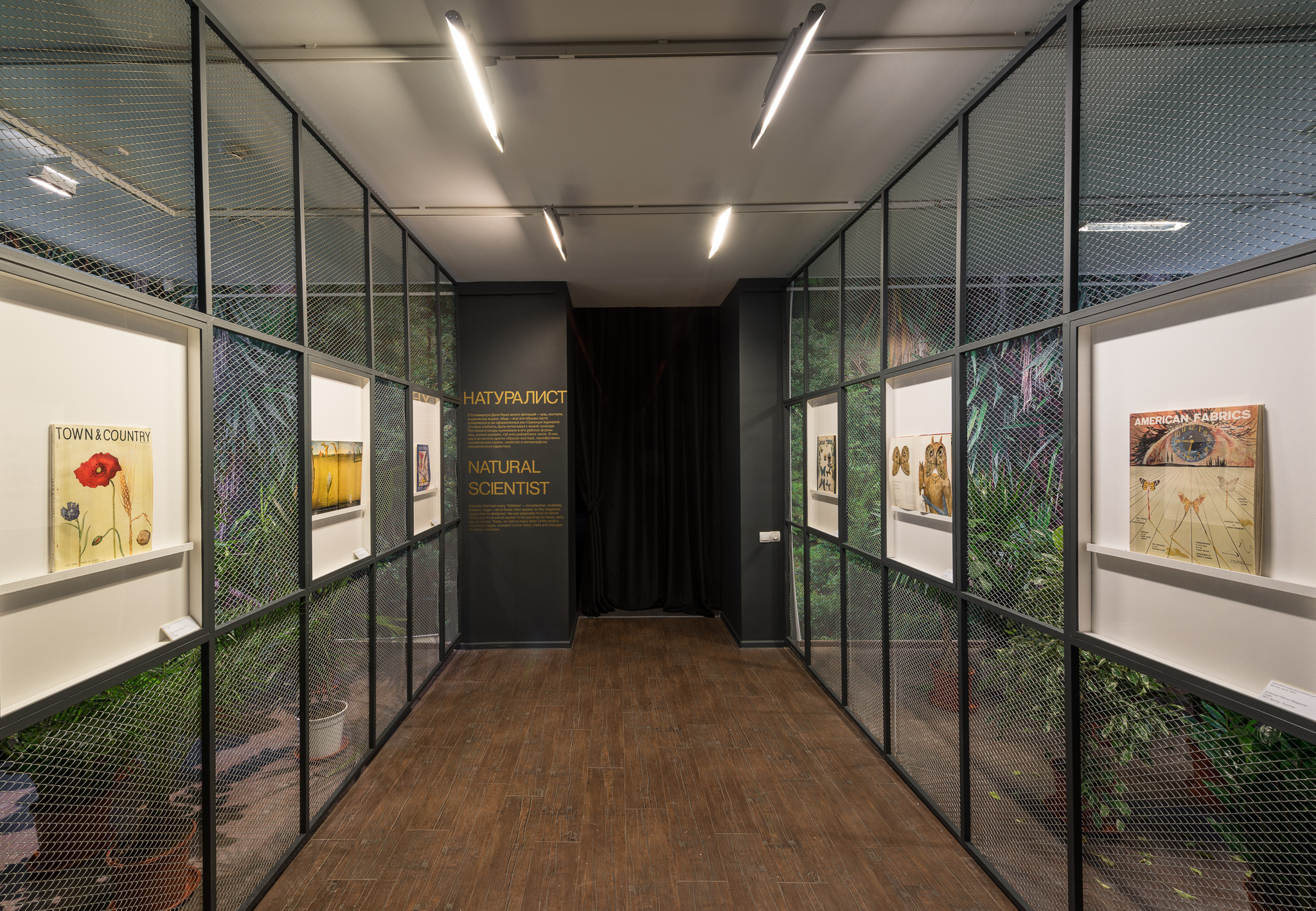 达利与媒体 | 跨界艺术大师的视觉盛宴-21