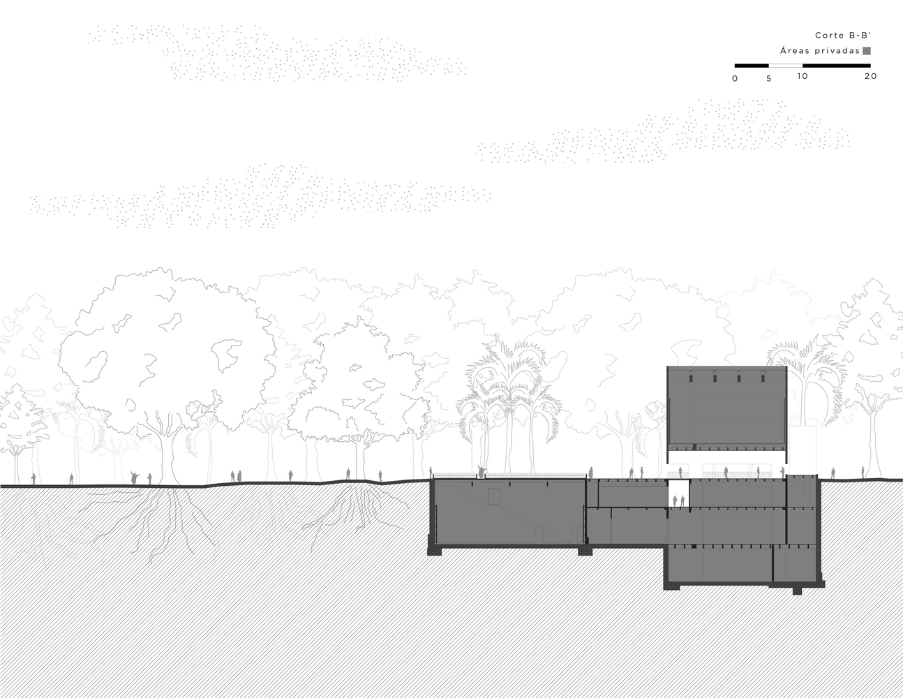 胡安·索里亚诺文化中心和博物馆 JSa-43