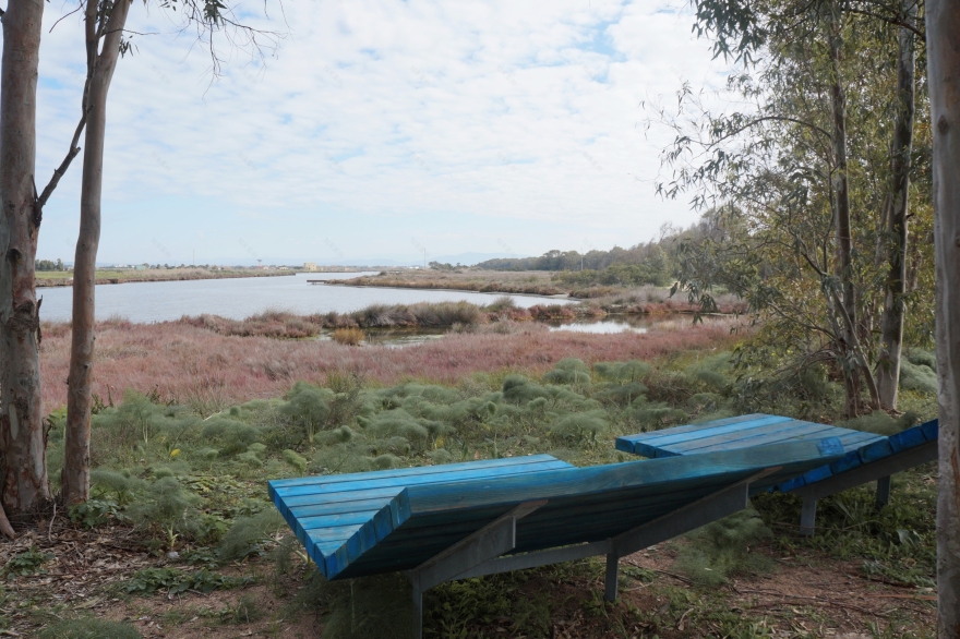 古罗马遗址公园 · PHOINIX Gulf of Oristano-9