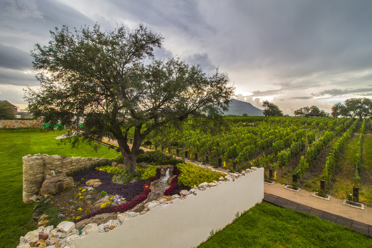 Donato 室内设计案例-1