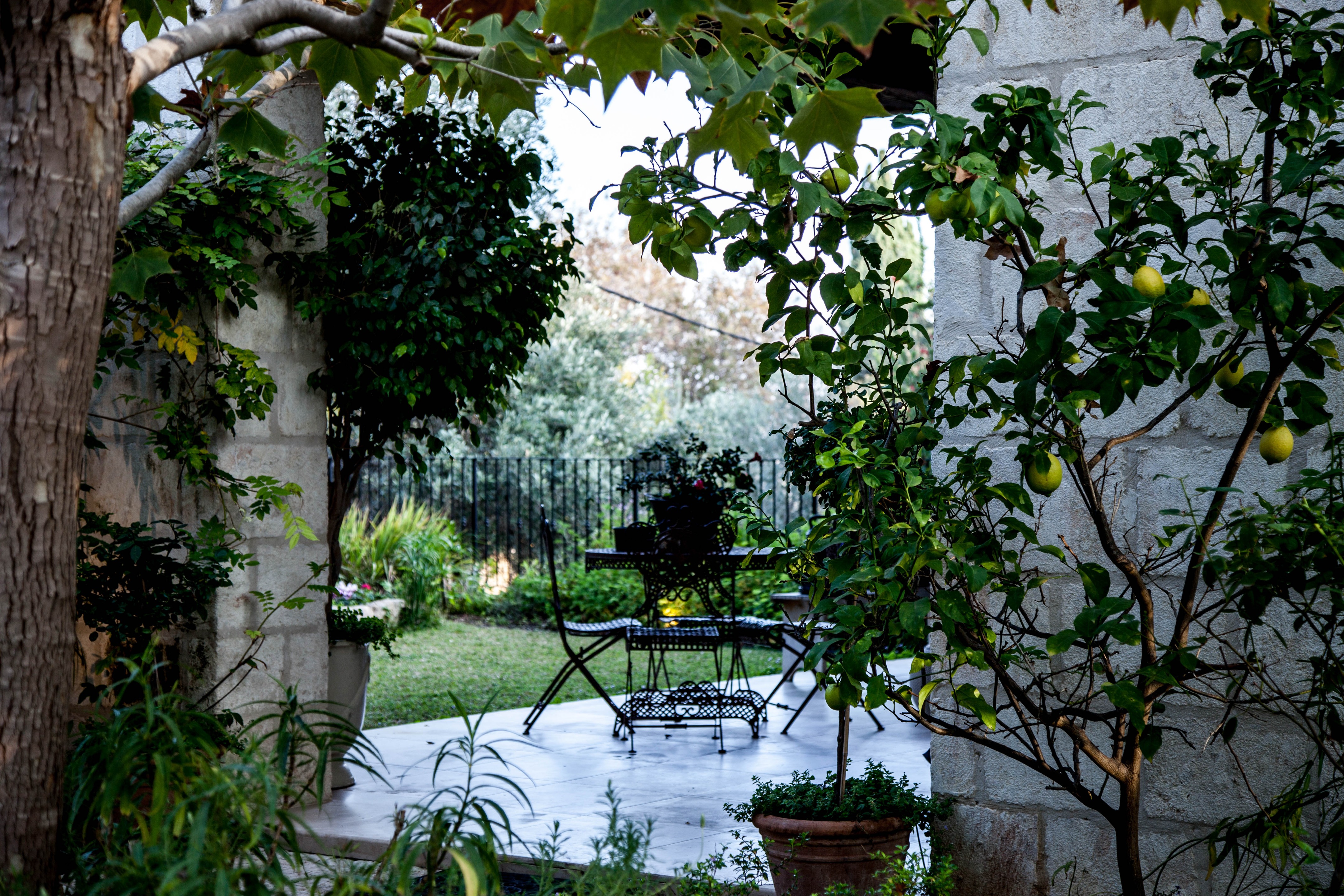 Carmel 山间的自然之家-65