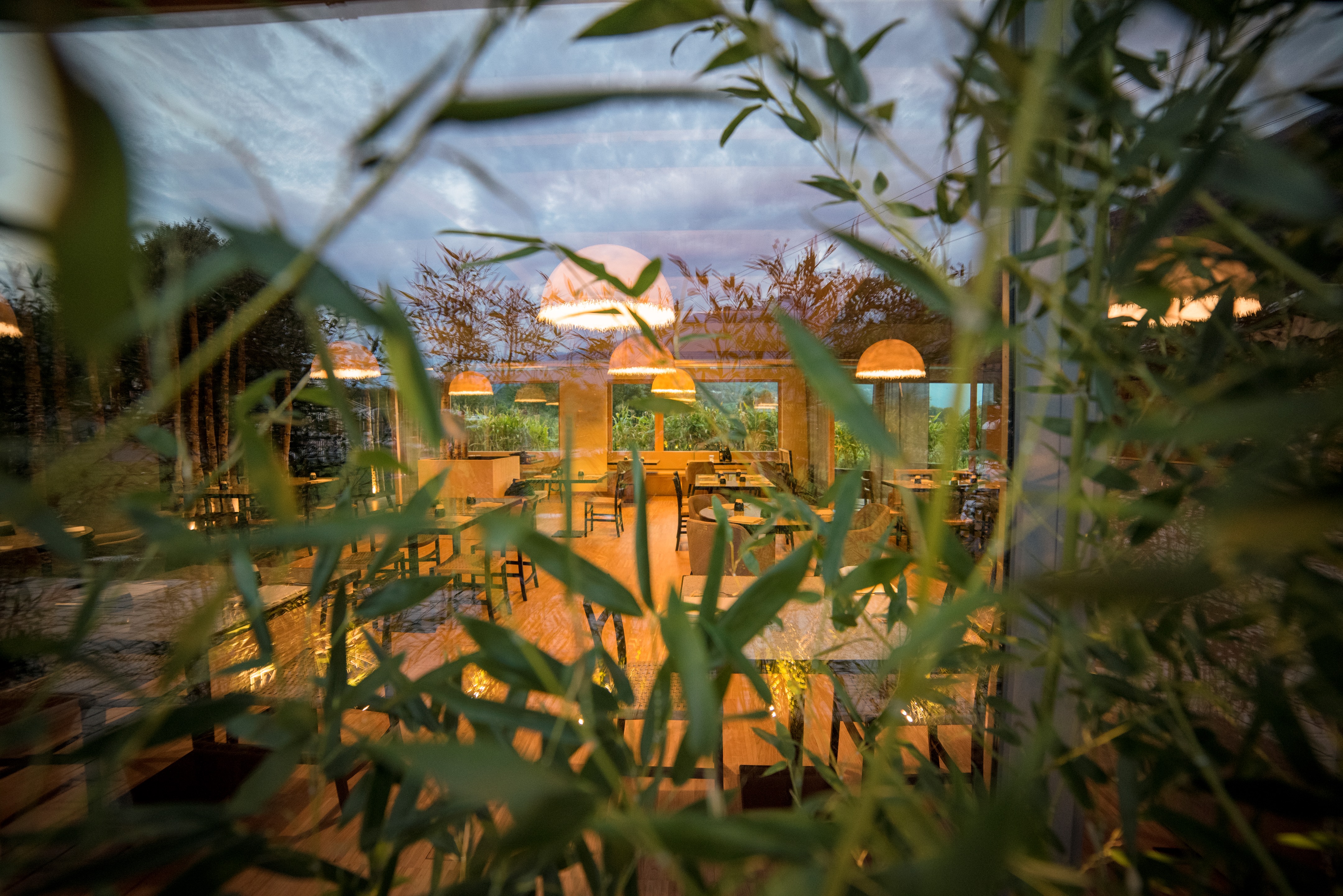 自然之境 | TERRA DEL SOLE 概念餐厅设计-51