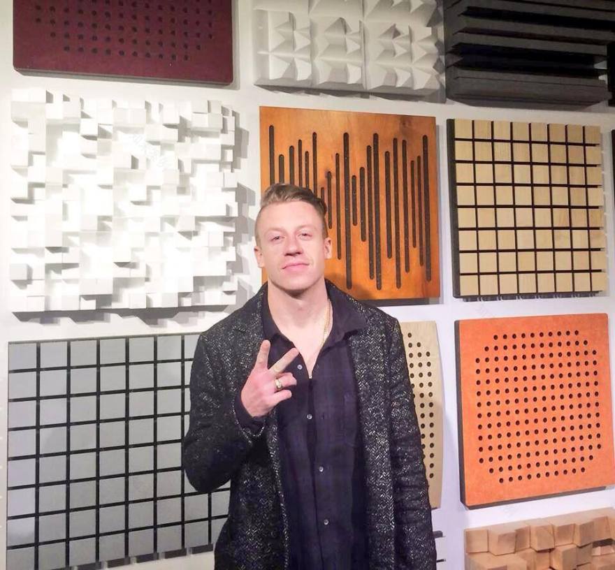 麦克莫瑞与瑞安·刘易斯选用 Vicoustic 打造顶级录音室-5