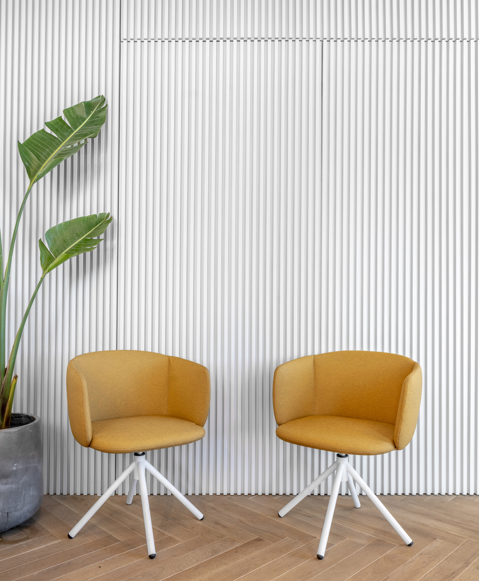 贝特安帕赫兹利亚总部室内设计-13