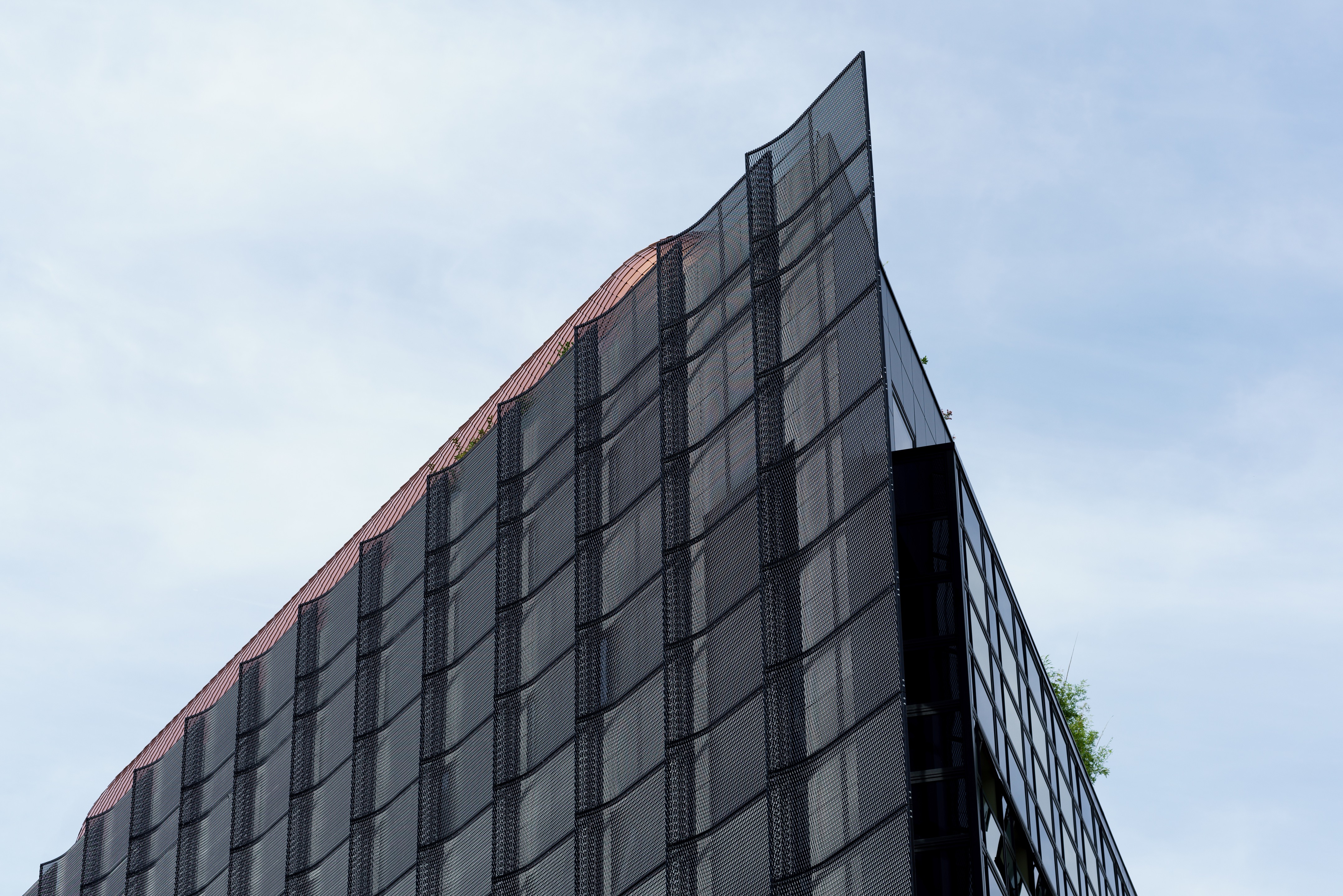 勒·布莱克珀尔或勒·黑珍珠-25