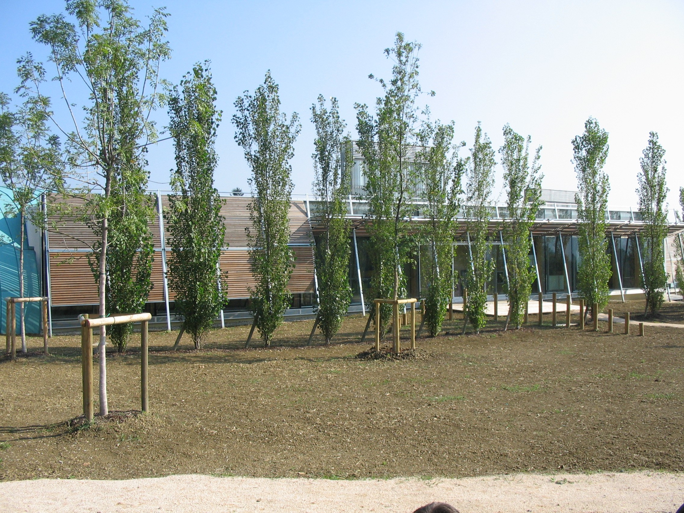 生态幼儿园 · 自然与建筑的共生-2