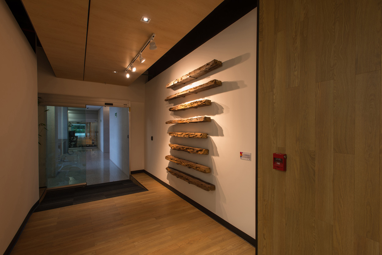 阿克斯亚·克雷塔罗后台办公室-7