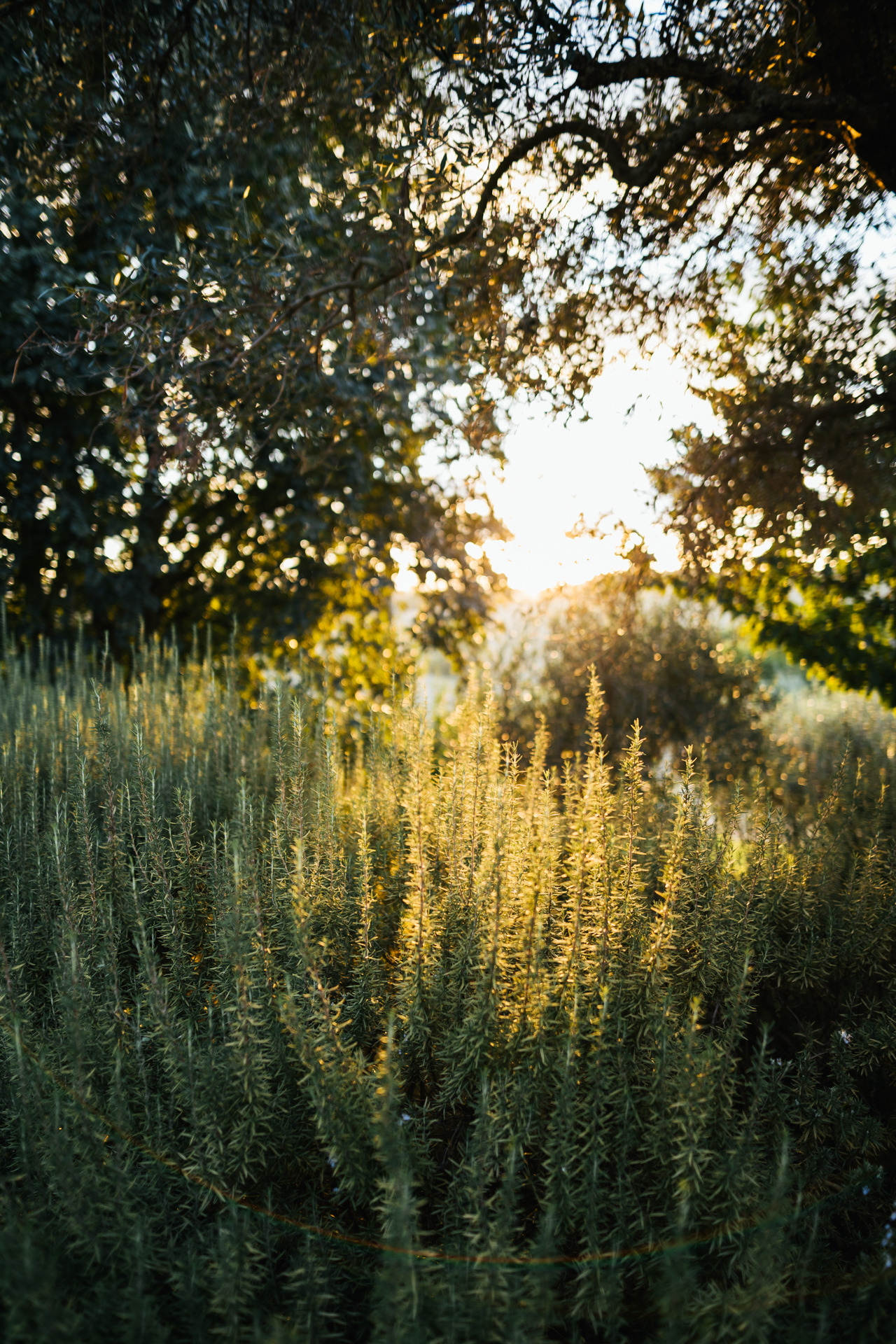 意大利风景别墅 Le Marche-149