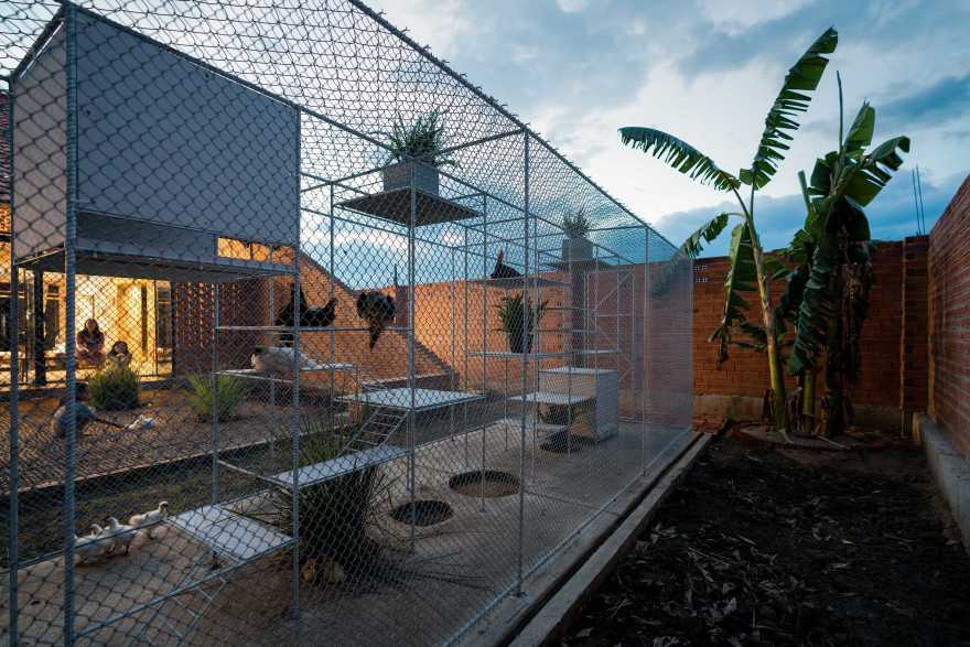 鸡舍建筑,儿童乐趣与自然的融合-20