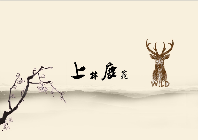 主题餐厅概念文本-0