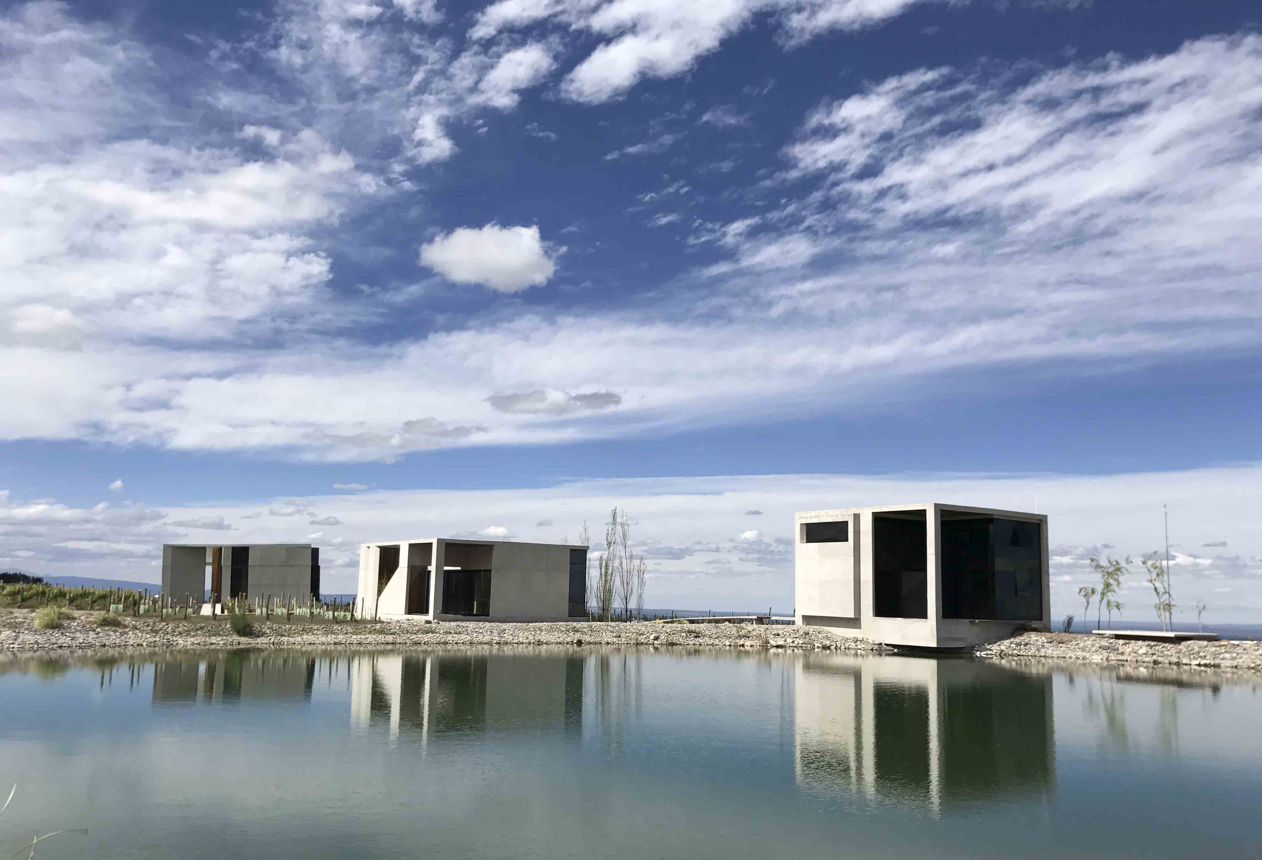 高山葡萄园里的绿色环保别墅-15