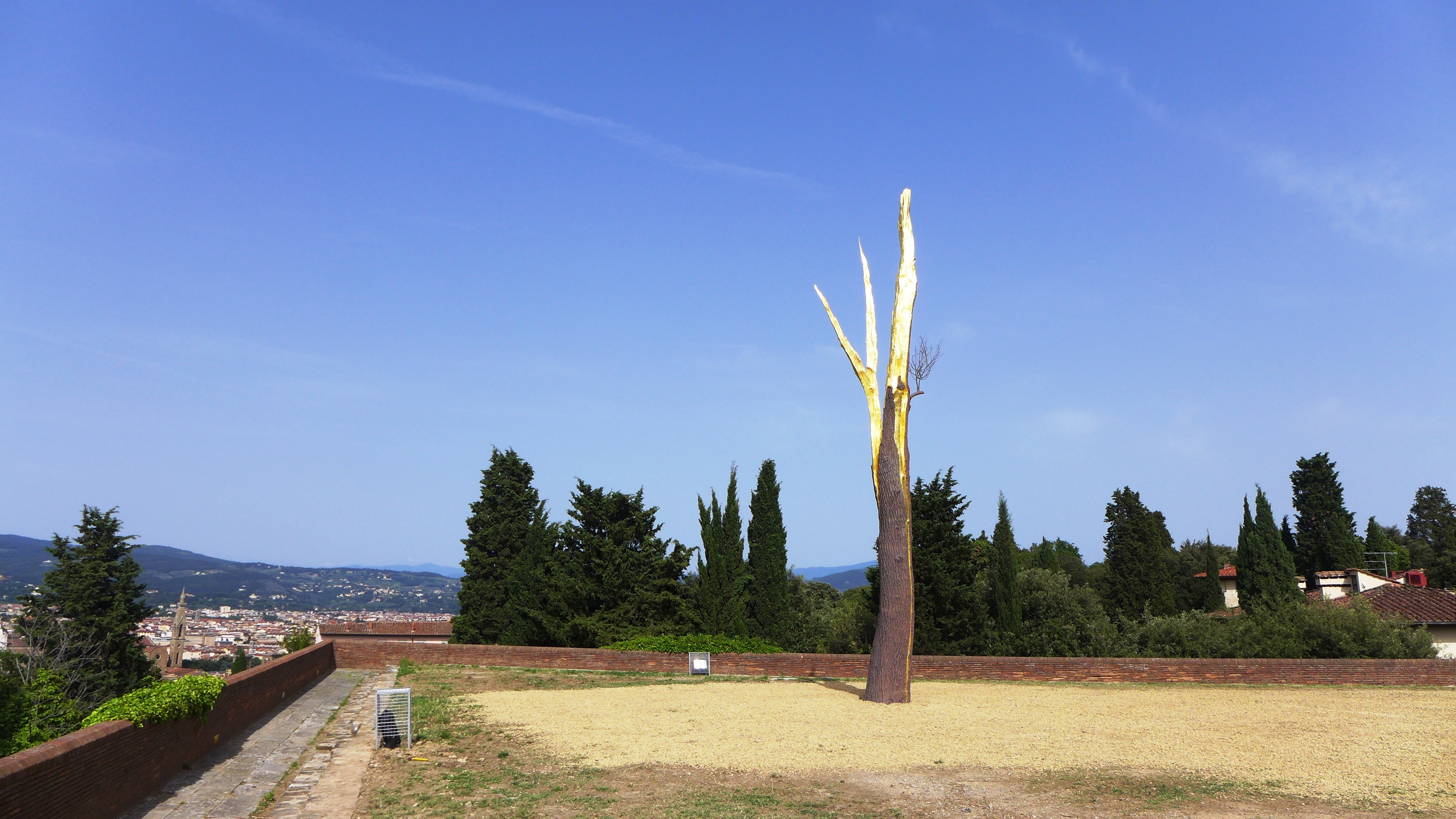 "植"入历史的艺术对话——Giuseppe Penone 个展“Prospettiva Vegetale”-2