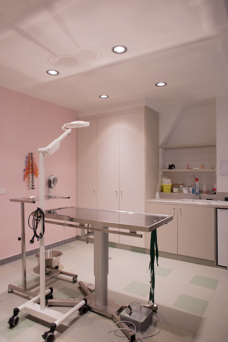 巴黎兽医诊所室内设计-6