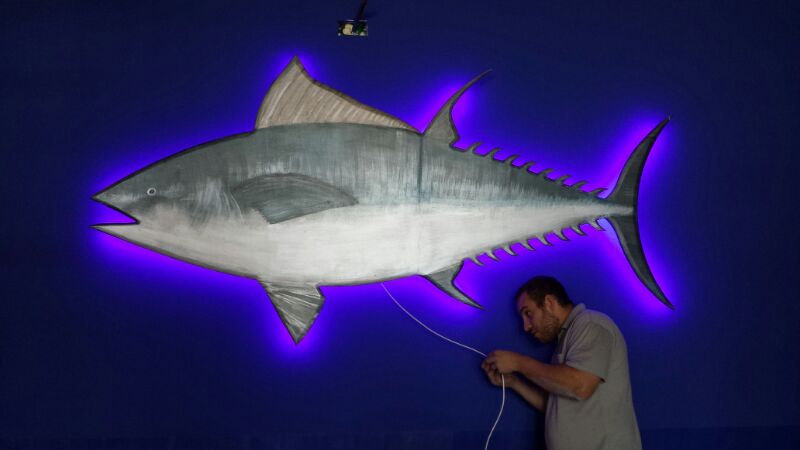 2014 年完成的 LED 照明设计餐厅案例-16