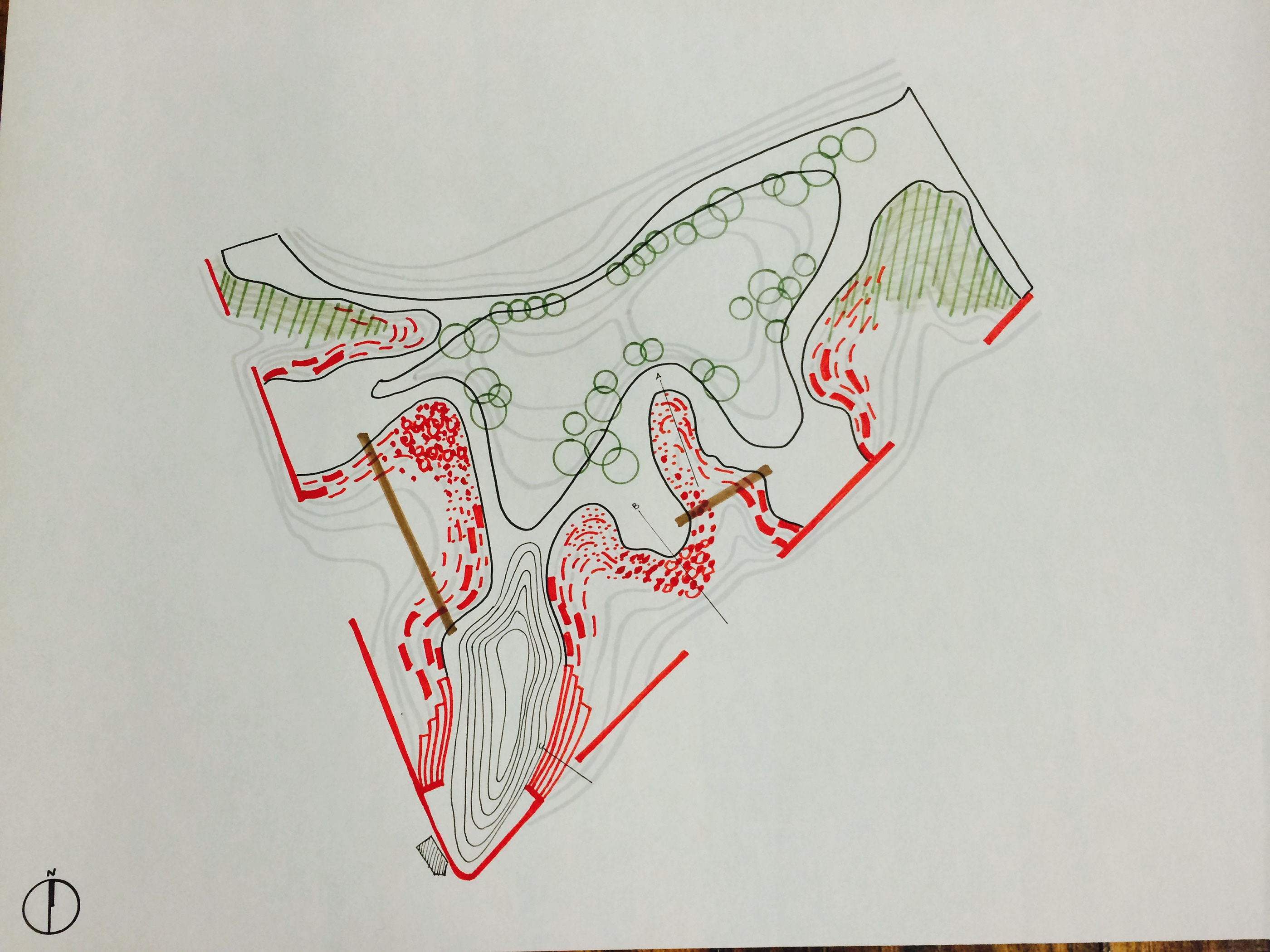 Site Ecology Studio Spring 2015-22