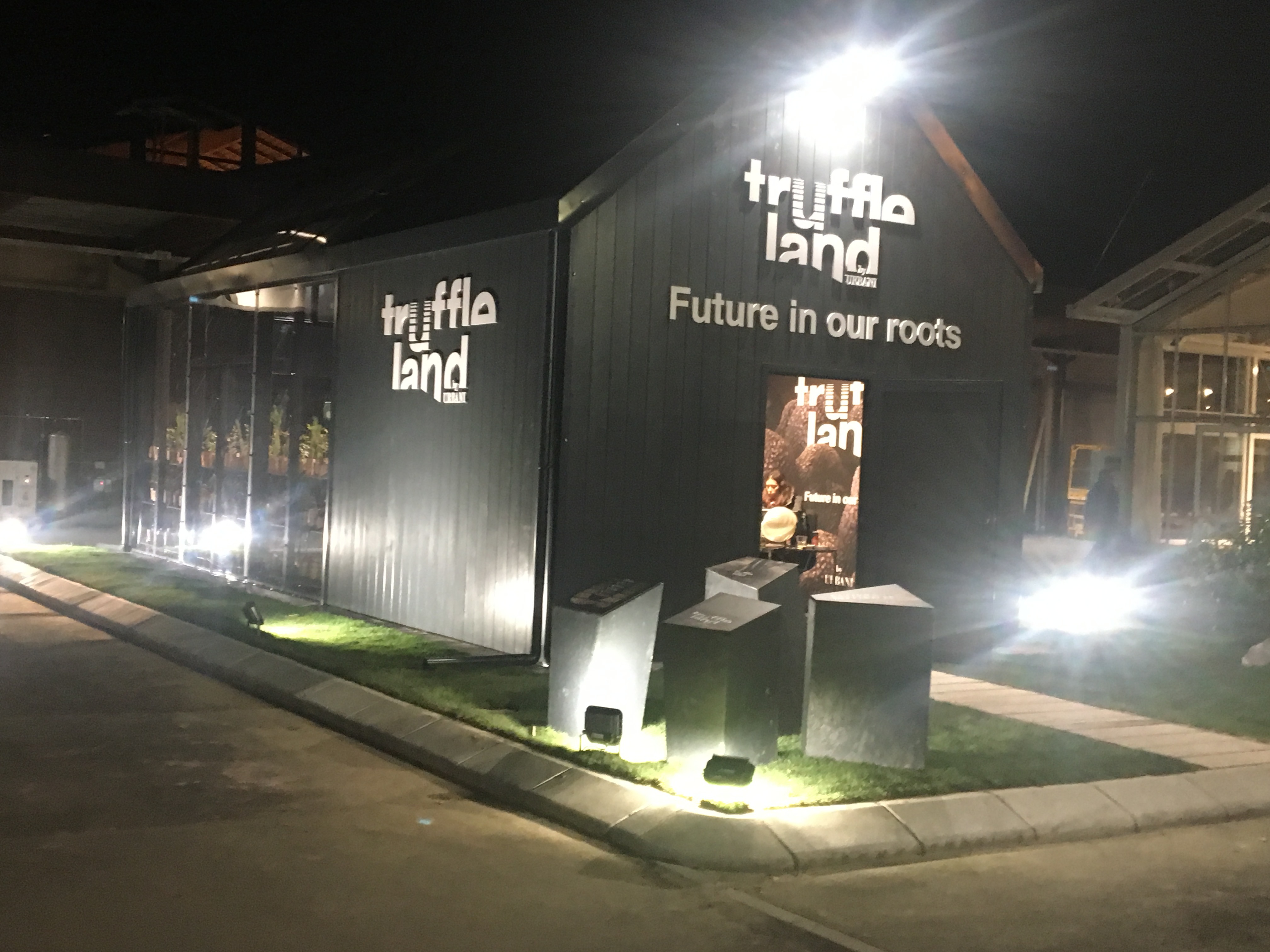 意大利 URBANI TARTUFI 餐厅-16