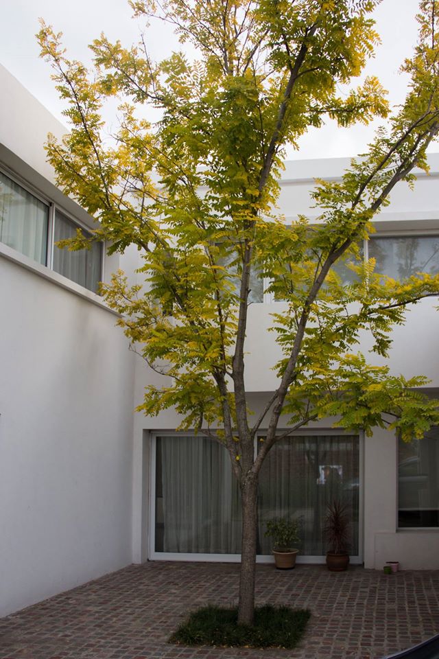 阿根廷私人住宅,绿意盎然的水景家园-4