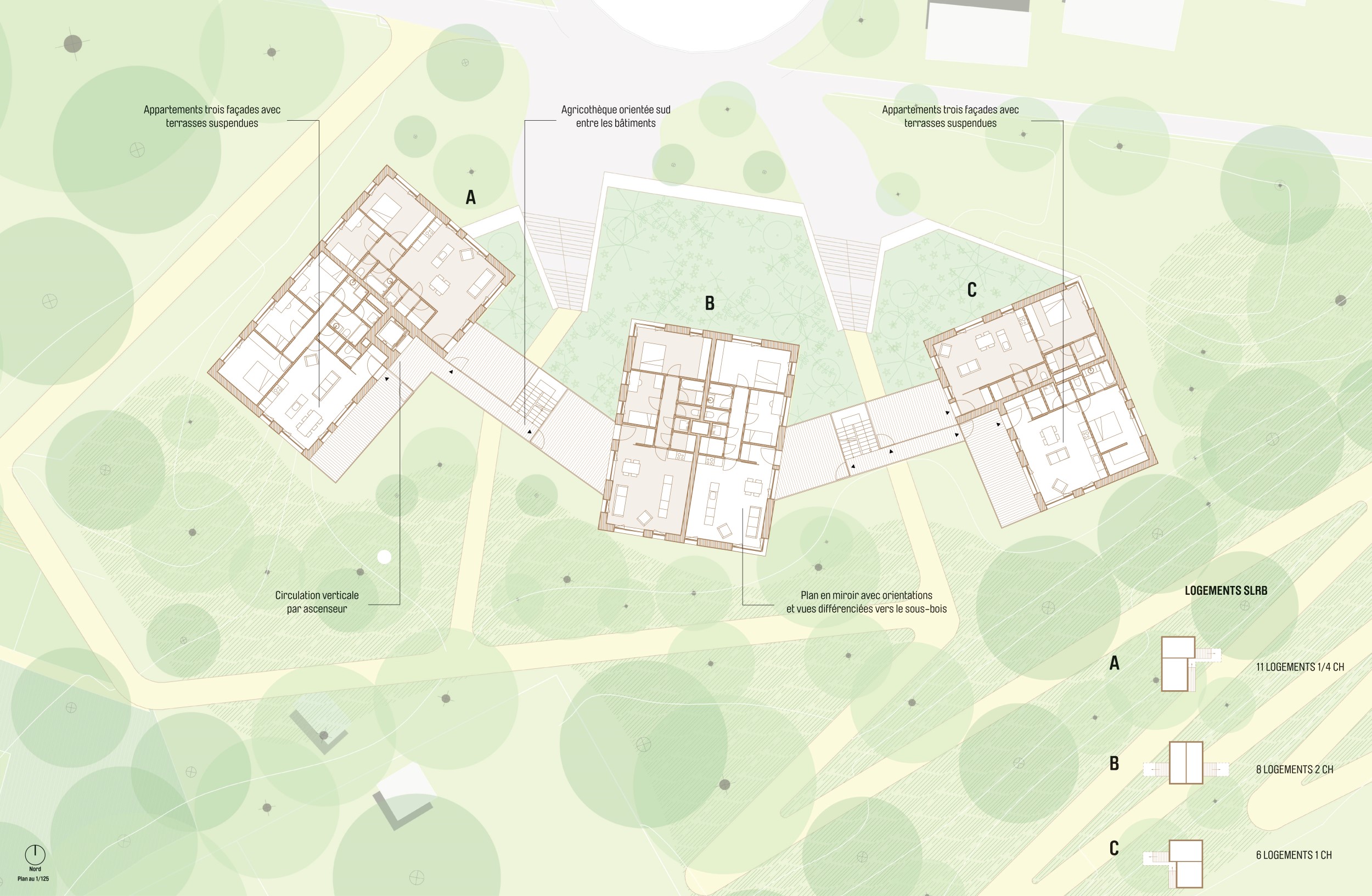 绿意盎然的 Archiducs 社区-7