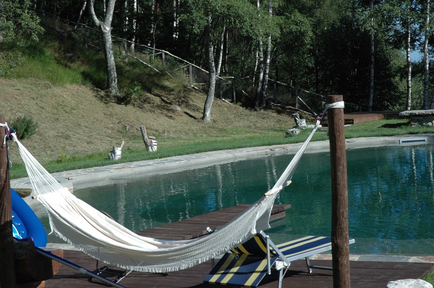 自然泳池边的生态住宅-4