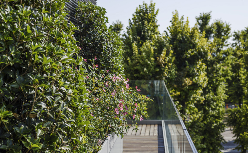 公园边的房子-15