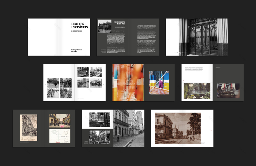 São Paulo 城市铁艺栅栏的历史与现状-6