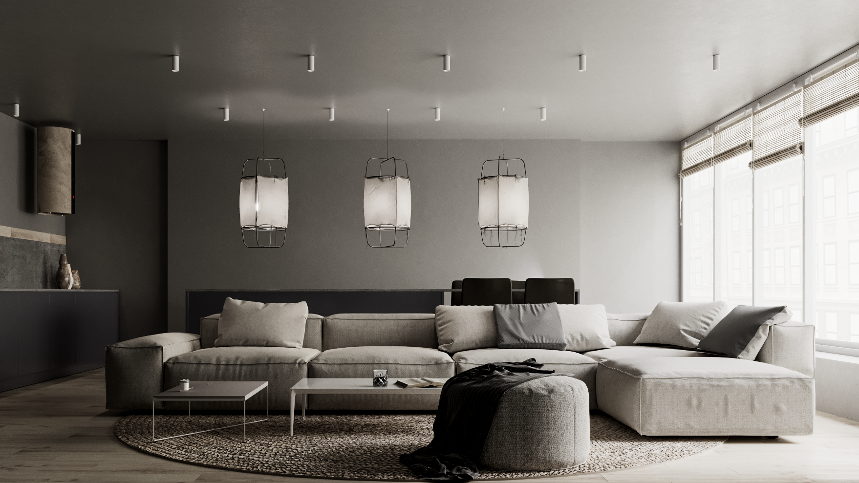 乌克兰 Ivano-Frankivsk 的 51 种灰色魅力-5