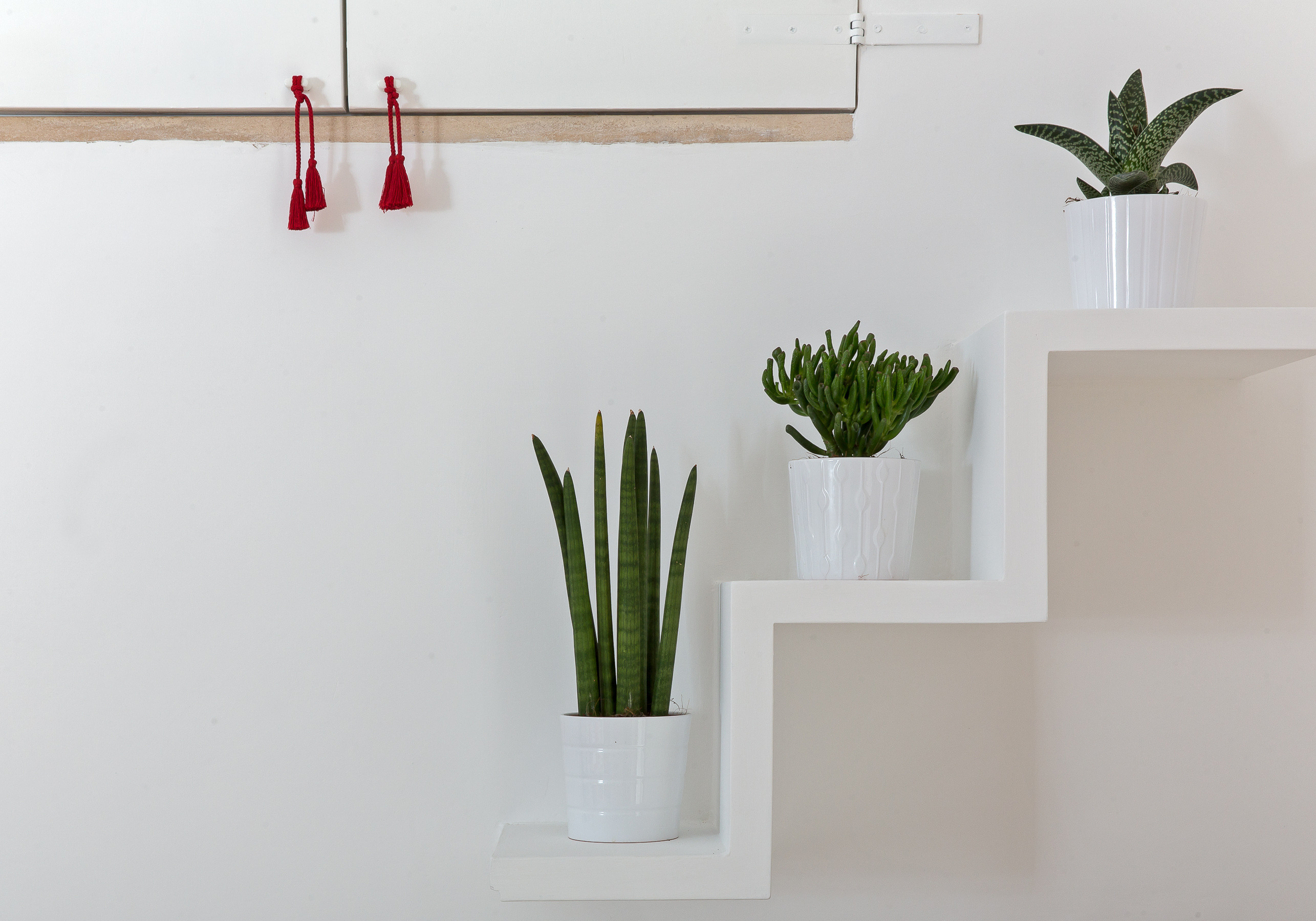 意大利卡普里岛“贝尔维德雷”家居设计&水疗中心-3