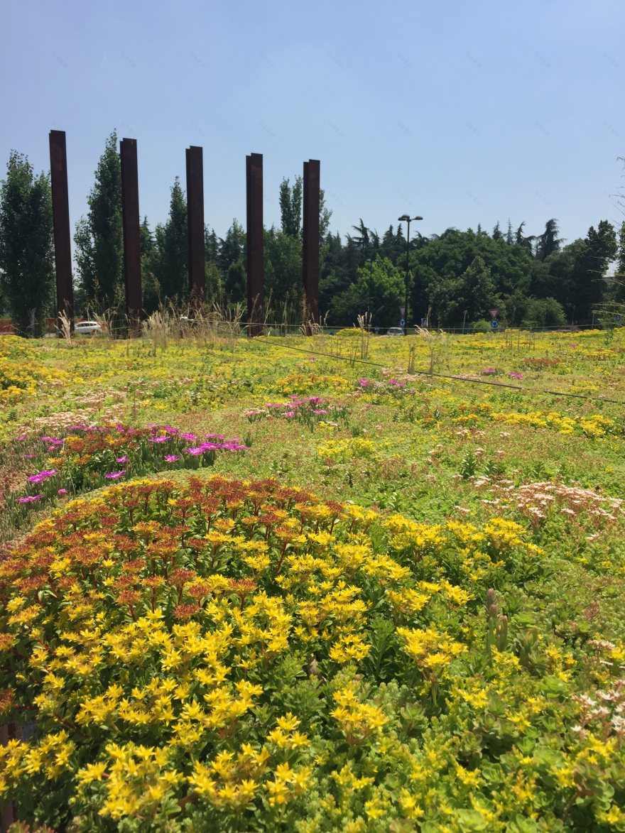 2015 年完成的 Palapa 项目,将工业遗址改造为时尚咖啡馆-55