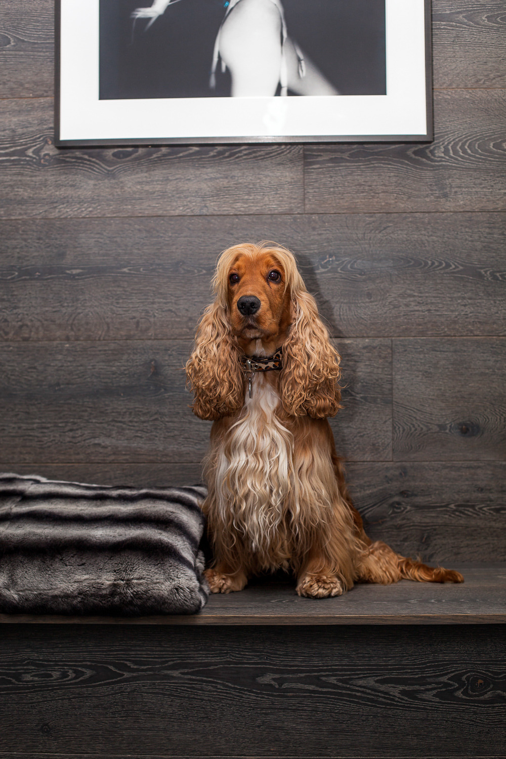 伦敦中心区 Casa Botelho 完美改造-14