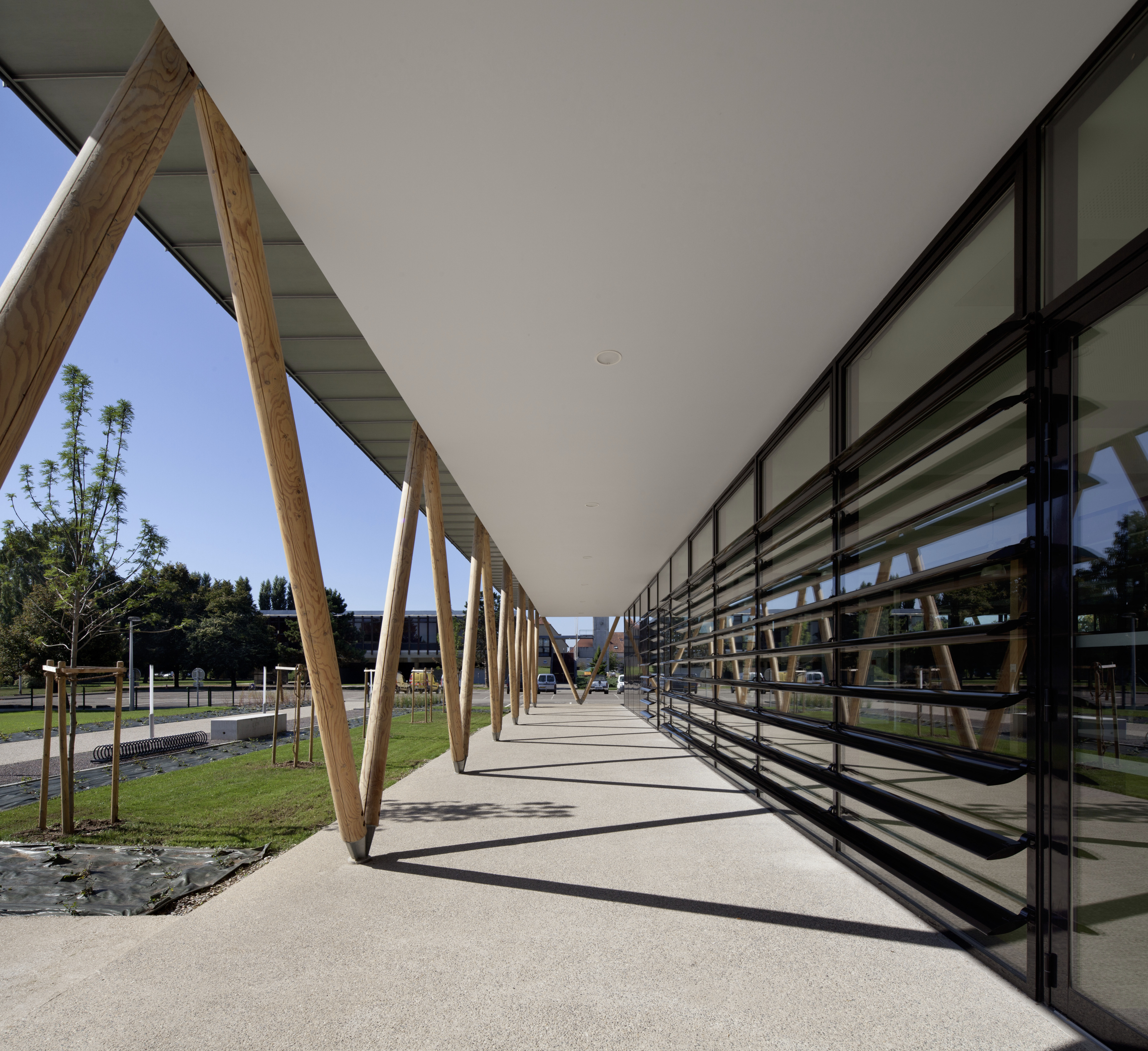 运动战斗室在 Benfeld-2