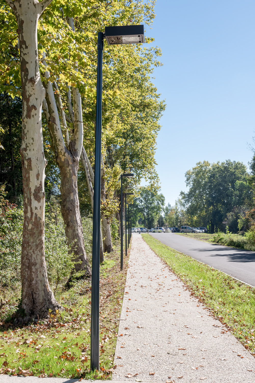 养老医疗中心 Barail | 关爱老年人的温馨家园-62