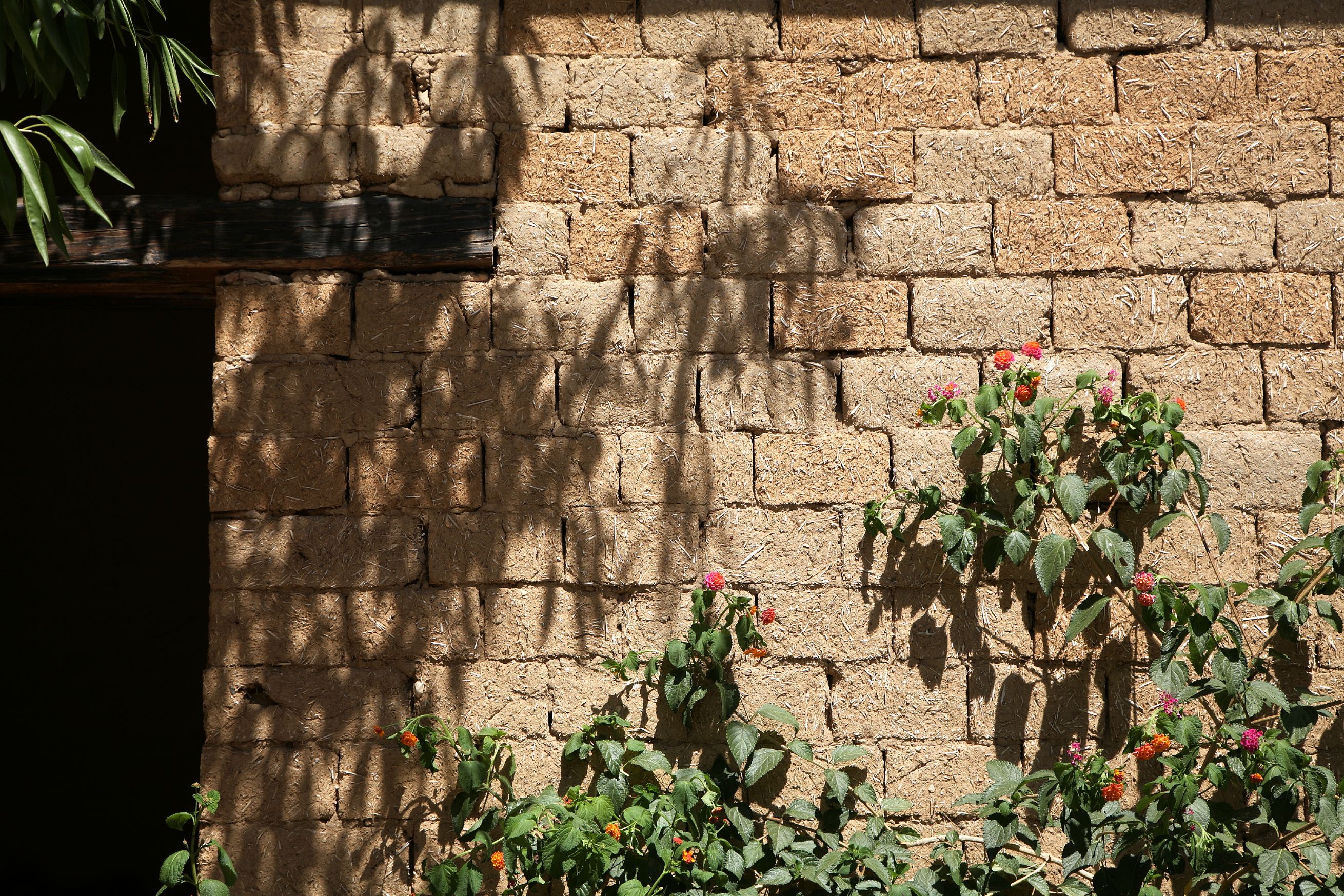 原生土砖房的重生-5