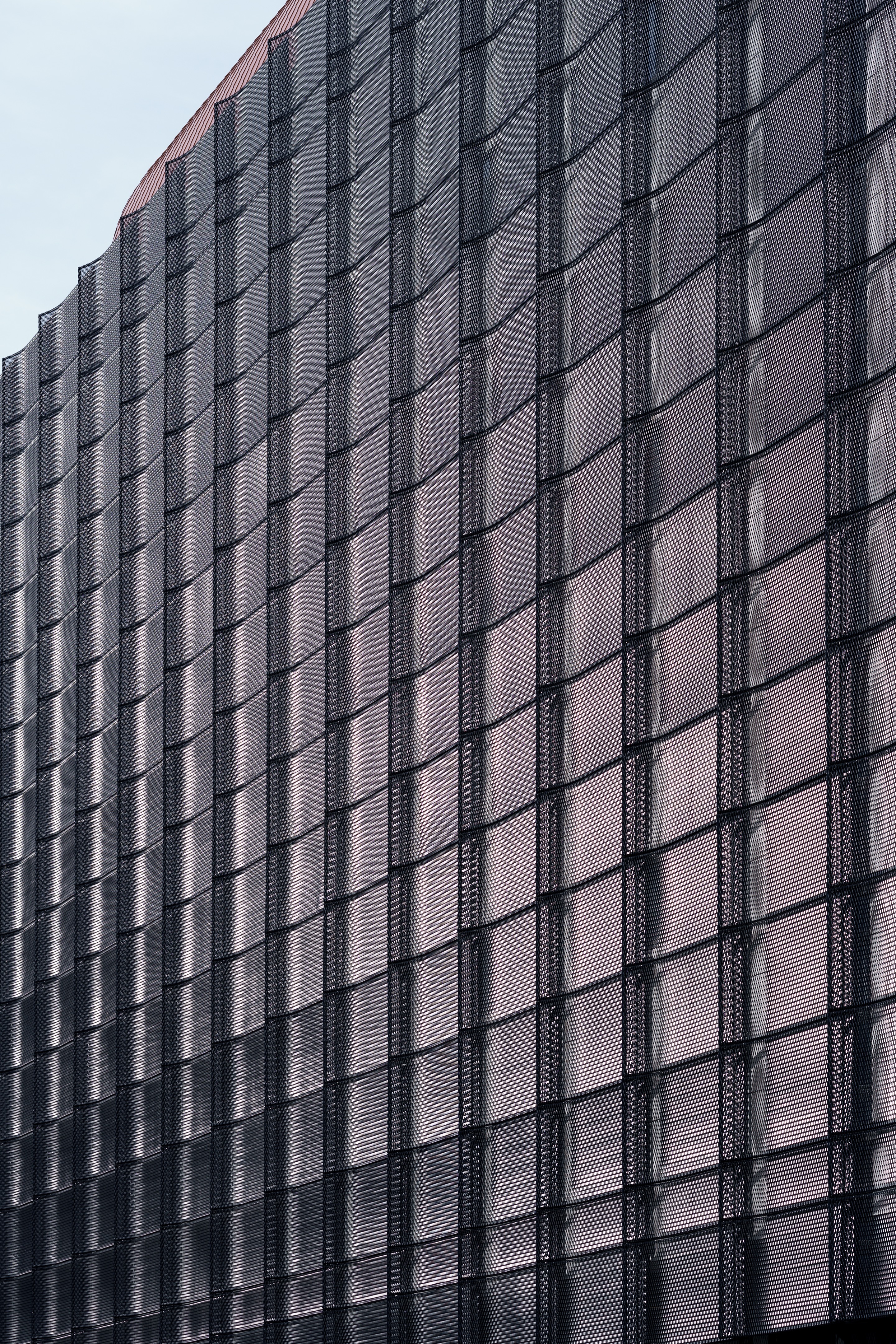 勒·布莱克珀尔或勒·黑珍珠-24