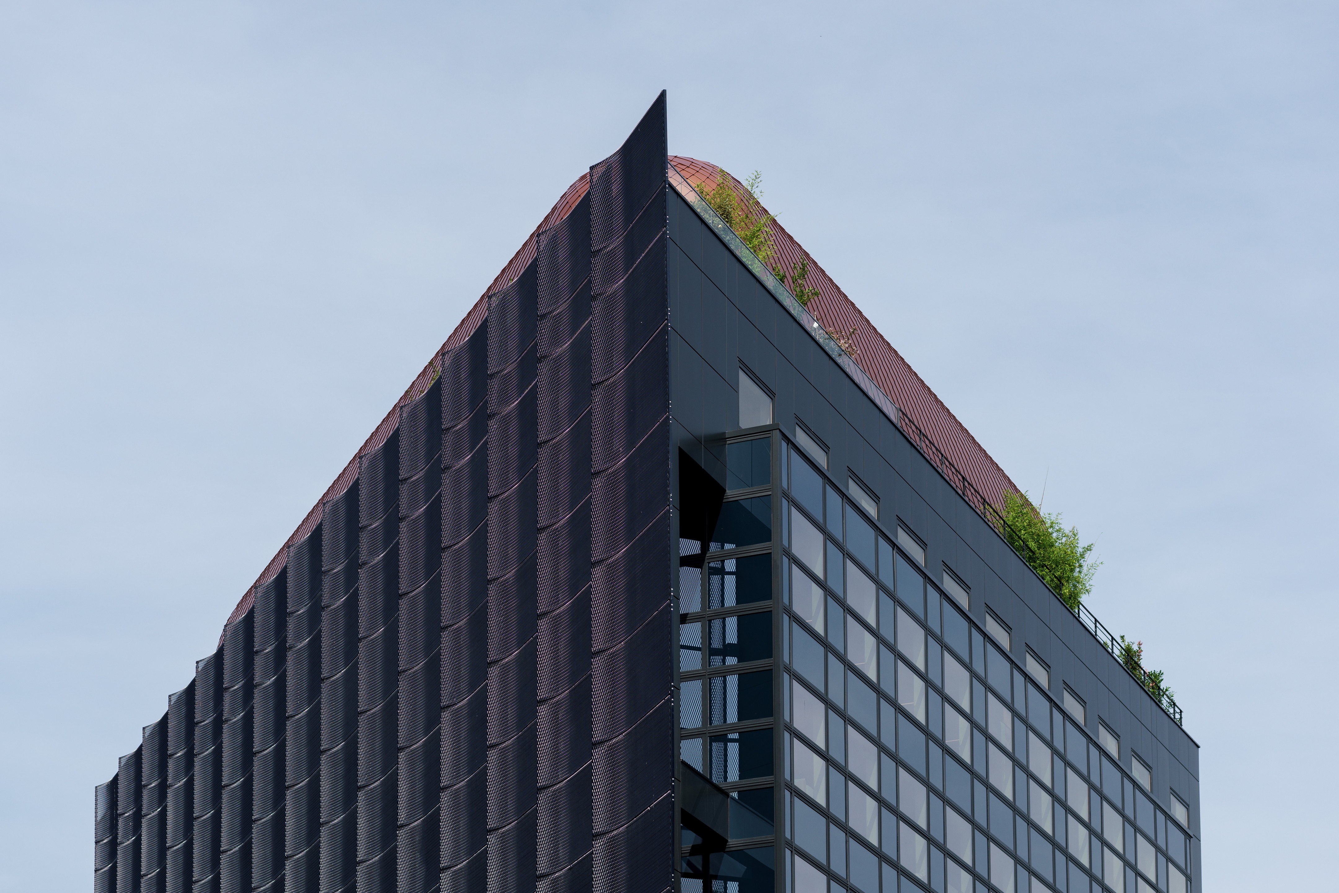 勒·布莱克珀尔或勒·黑珍珠-5