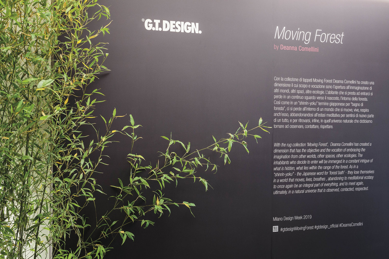 移动森林·迪安娜·科梅利尼著-7