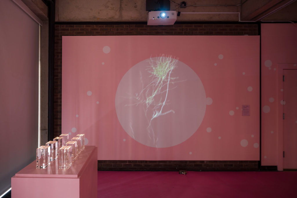 "人类"设计的探索 | 2018 年普林斯顿大学建筑学院展览-14