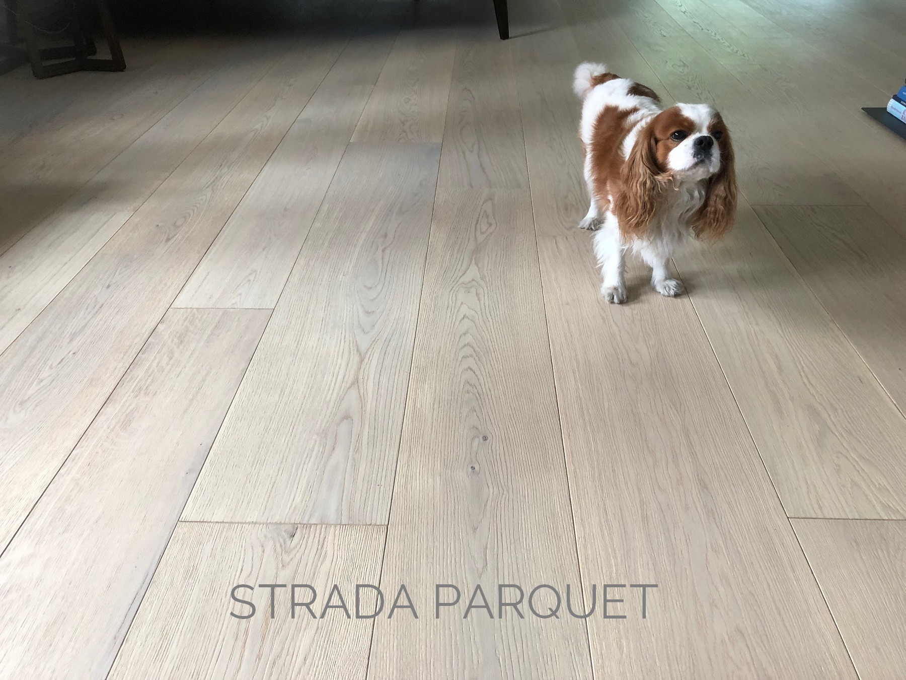 简约原木风格地板打造舒适空间-27