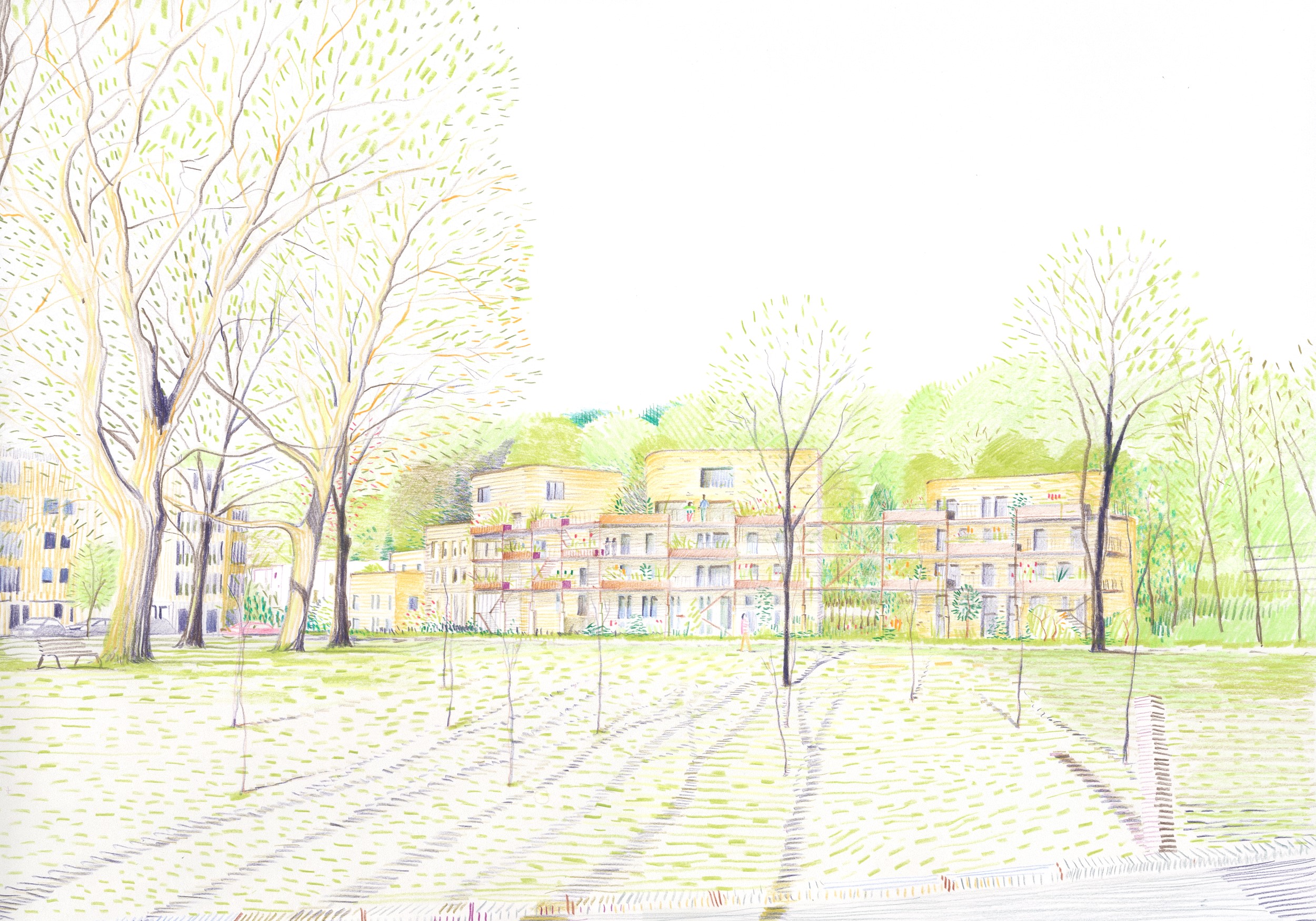 绿意盎然的 Archiducs 社区-4