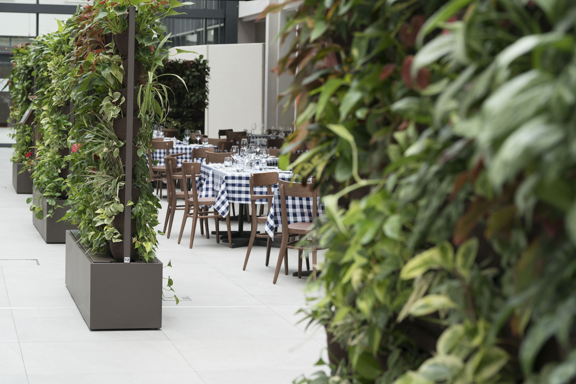 2017 年完成的 Hotel Estrel Portofino 餐厅室内设计-5