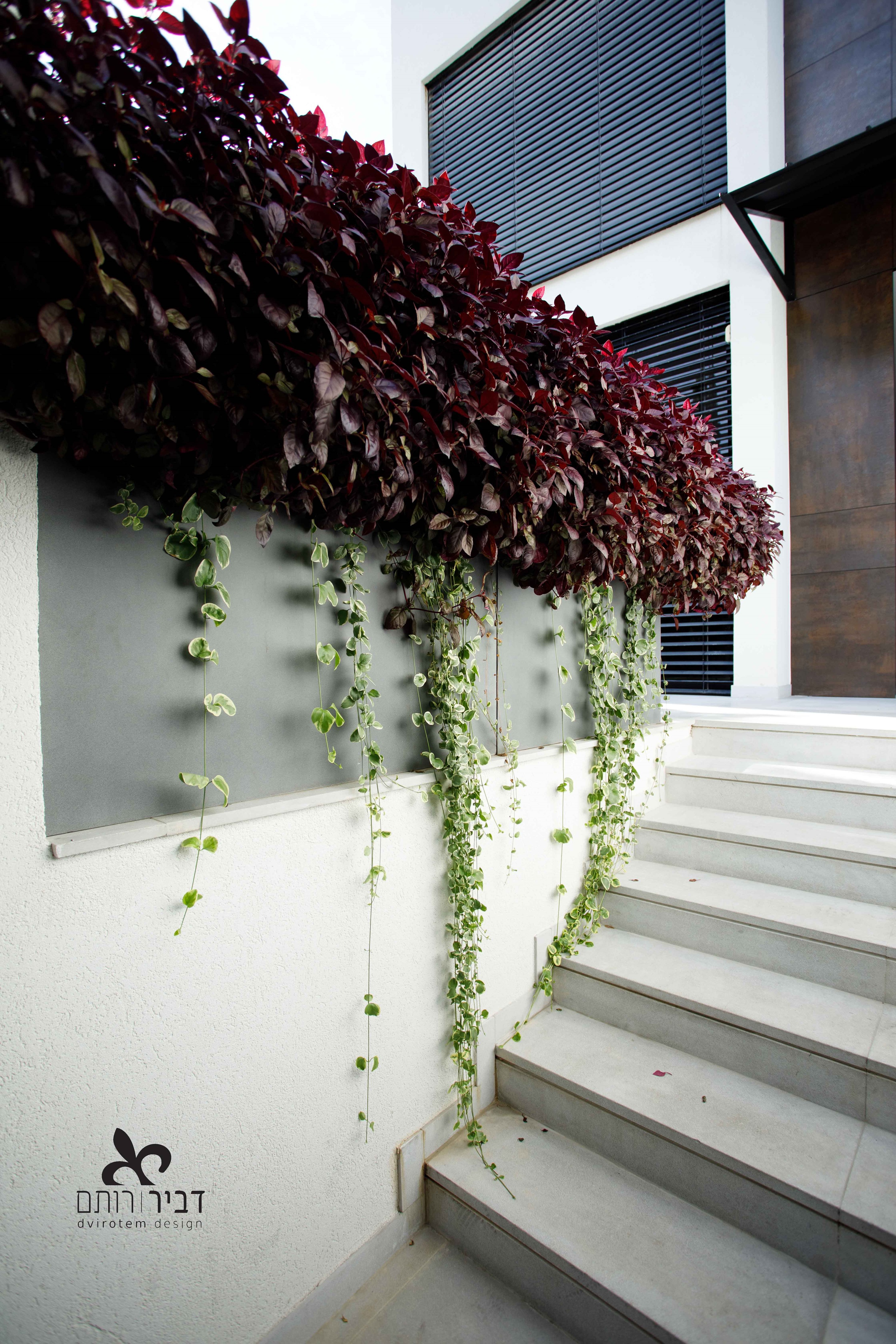 2019 年完成的私人住宅建筑设计及翻新-7