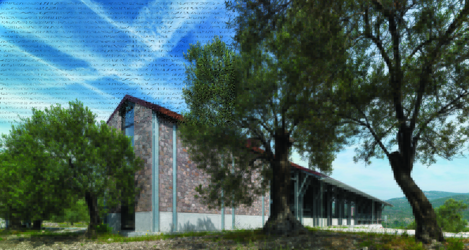 安杰洛斯橄榄油厂-36