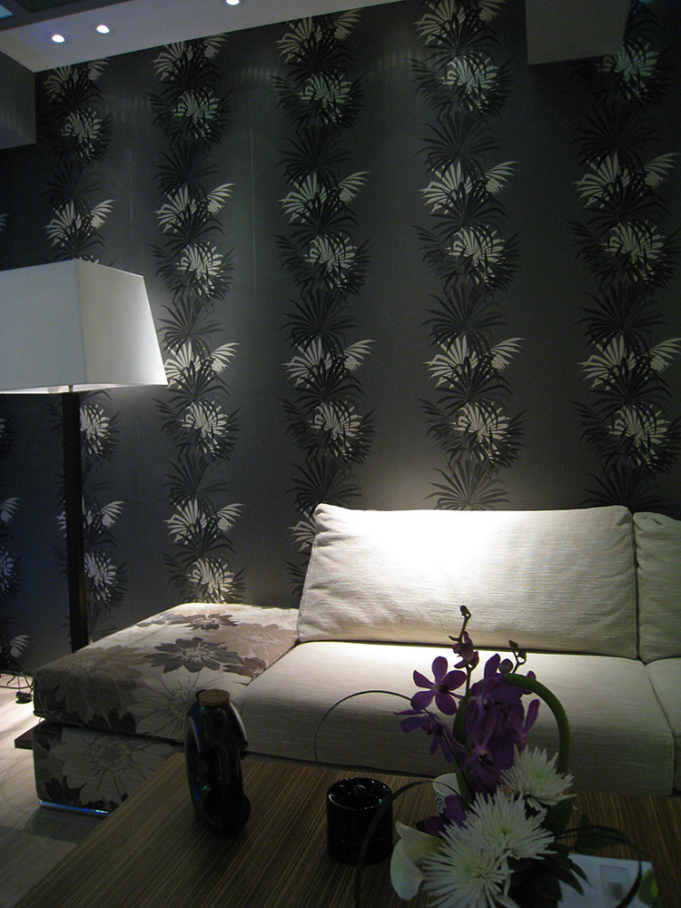 2008 年希腊原型酒店套房设计-1