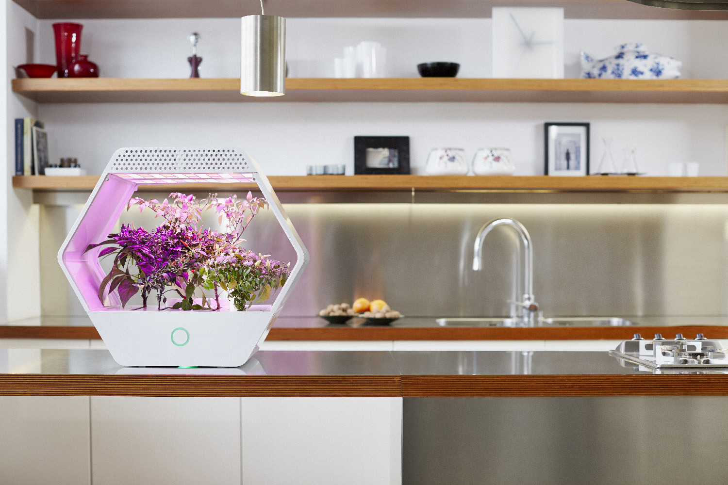 智能家居水培温室 LINFA · 绿色生活新体验-13